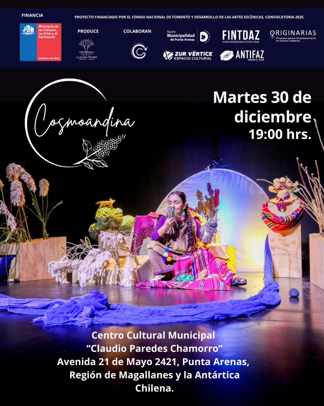 Cosmoandina en Punta Arenas 30 diciembre 2025