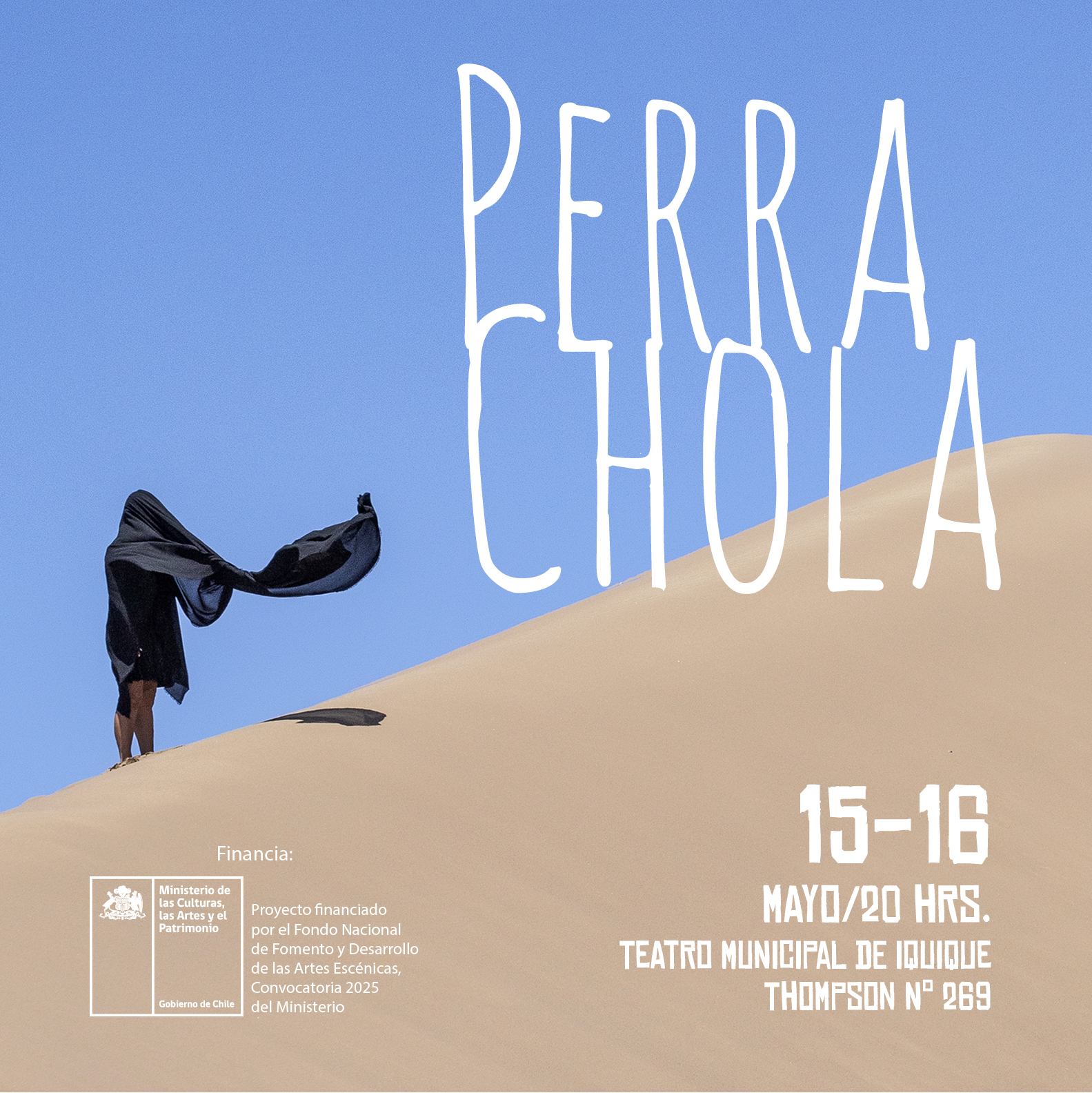 PERRA CHOLA EN IQUIQUE
