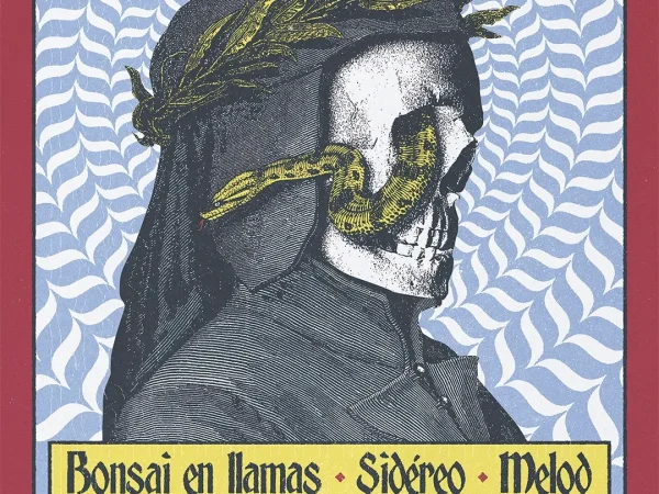 Distorsión y delirio