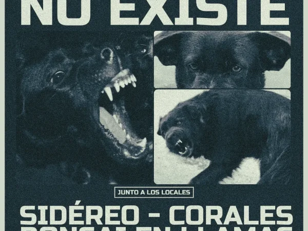 Cuando el problema no existe
