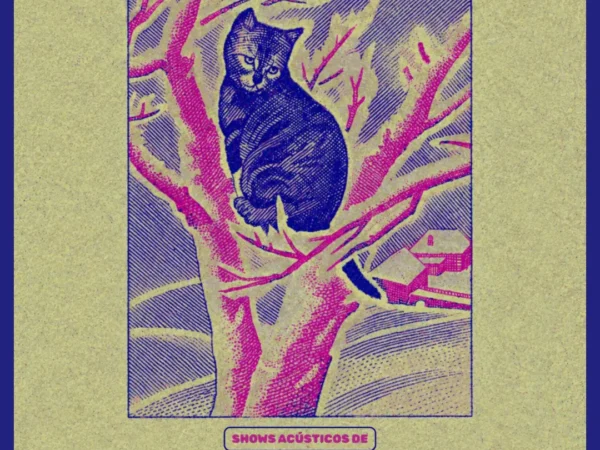 2 asociación de gatines cantarines